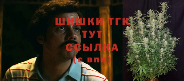 альфа пвп Новодвинск