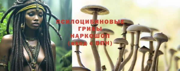 гидропоника Новозыбков