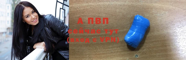 стаф Новокубанск