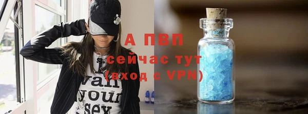 гидропоника Новозыбков