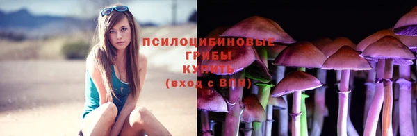 гидропоника Новозыбков