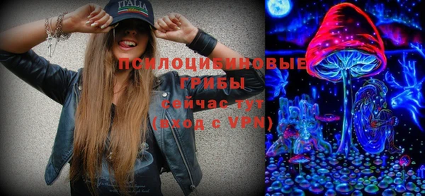 гидропоника Новозыбков