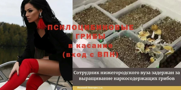 альфа пвп Новодвинск