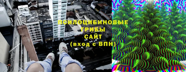 гидропоника Новозыбков