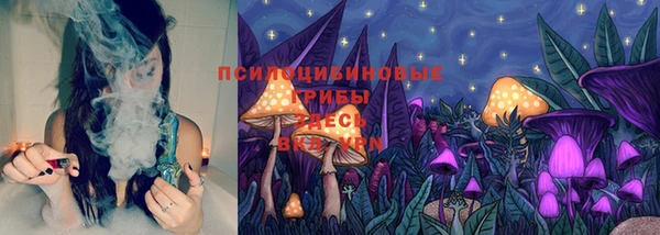 альфа пвп Новодвинск