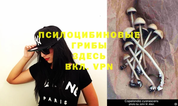 гидропоника Новозыбков