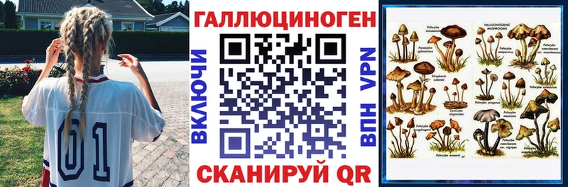 OMG сайт  закладка  Юрюзань  Псилоцибиновые грибы Psilocybe 